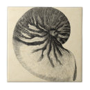 Search for black and white tiles Ocean