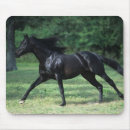 Search for thoroughbred electronics Running