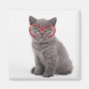 Search for eyeglasses magnets Cute