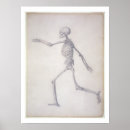 Search for skeleton posters Human