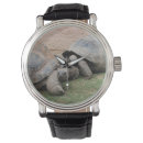Search for tortoise watches Cute
