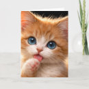 Search for grooming cards Pet