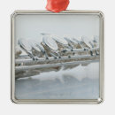 Search for wind christmas tree decorations Cut out