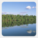 Search for amazon stickers Jungle