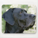 Search for dane mousepads Black
