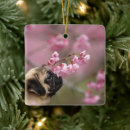 Search for cherry christmas tree decorations Animal