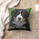 Search for canines photography Trendy