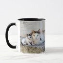 Search for stone mugs Cute