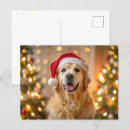Search for golden retriever postcards Modern