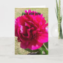 Search for for any occasion cards Floral