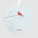 Search for cardinal photo christmas tree decorations Branch