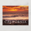 Search for tide pool postcards California