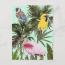 Search for unique postcards Jungle