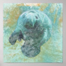 Search for manatee art Sea cow