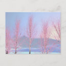 Search for creme postcards Pink
