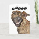 Search for great danes cards Dog