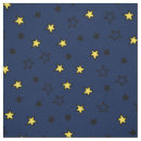 Search for cute star Night sky