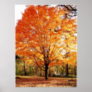 Search for maples posters Fall season