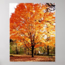 Search for maple leaf art Fall season
