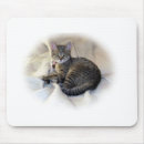 Search for content mousepads Kitten