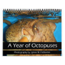 Search for octopuses Marine