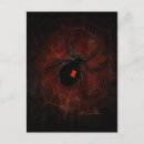 Search for widows postcards Arachnid
