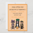 Search for dog halloween invitations Pumpkin
