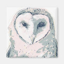 Search for owl magnets Nature
