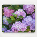Search for blue hydrangeas mousepads Summer