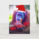 Search for ape christmas cards Orangutan