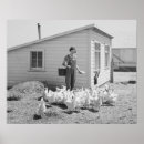 Search for vintage chicken posters Farm