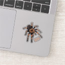 Search for invertebrate cases Insect