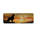 Search for golden retriever return address labels Animals