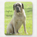 Search for mastiffs electronics Animal