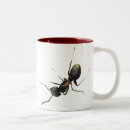 Search for ant mugs Entomology