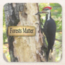 Search for ecology coasters Nature