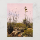 Search for bloomed postcards Summer