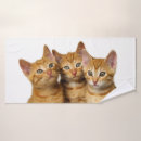 Search for friend of ginger Funny