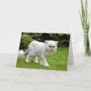Search for white cat birthday cards Humour
