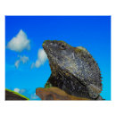 Search for of a lizard art Reptile