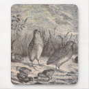 Search for quail mousepads Wildlife