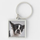 Search for dog portrait key rings Studio shot