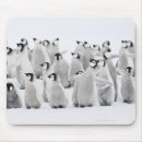 Search for emperor penguin electronics Cute animals