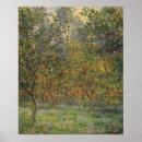 Search for lemon tree posters Orchard