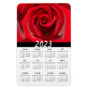 Search for beautiful rose magnets Bloom