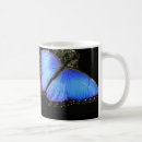Search for morpho butterfly mugs Wildlife