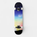 Search for horizon skateboards Sunset