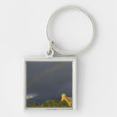 Search for missioner key rings Usa