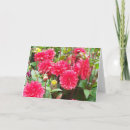 Search for deep pink cards Flowers