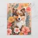 Search for shetland sheepdog postcards Sheltie